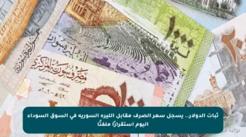 ثبات الدولار.. يسجل سعر الصرف مقابل الليرة السورية في السوق السوداء اليوم استقرارًا ملفتًا